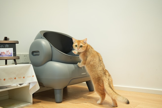Best automatic self-cleaning cat litter box comparison 2026 — modern smart litter box with app control for odor-free multi-cat households